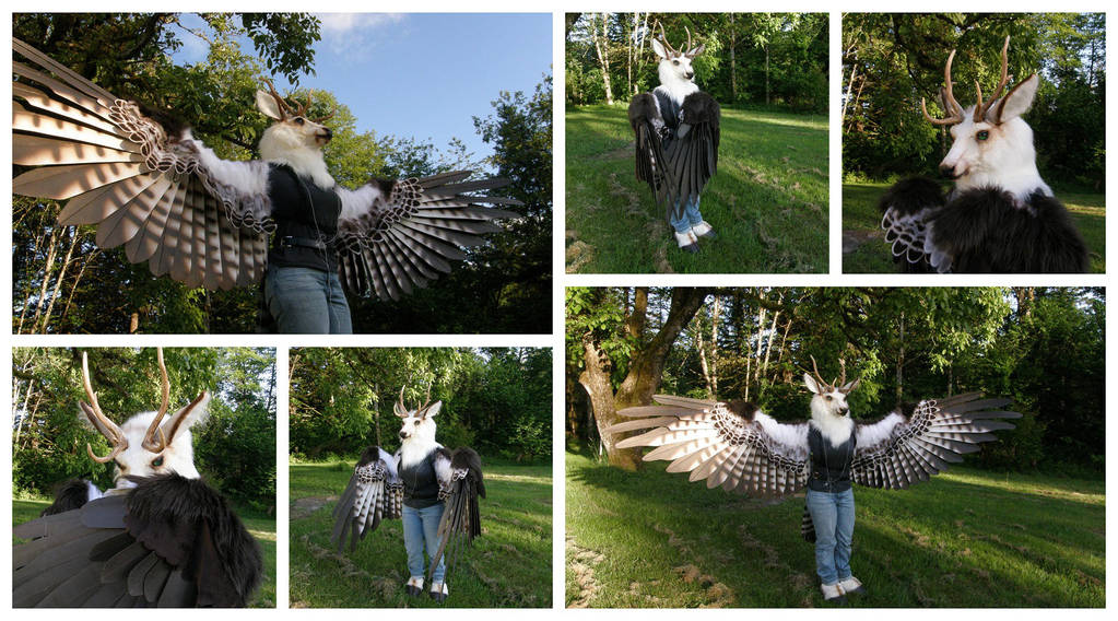 Client Wings, Part 2! by buckskinmare