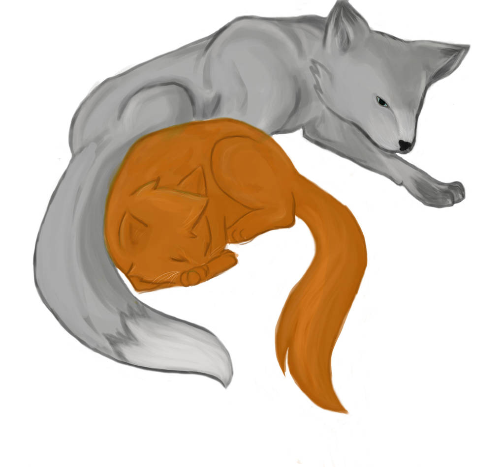 Silver Fox and Red Kitten by minipyro