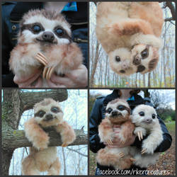 Baby Three-Toed Sloth - Handmade Poseable Creature by RikerCreatures