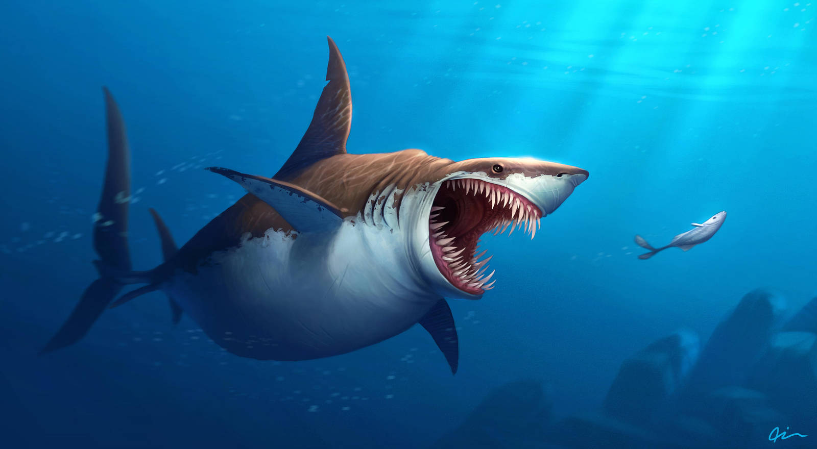 Great White by Timooon