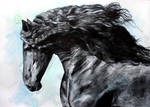 Friesian Horse at Black by ElenaShved