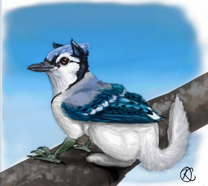 Bluejay Gryphon by Katolin Bluejay Gryphon by Katolin