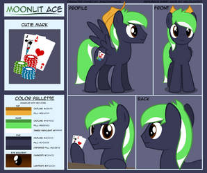 (My OC) Moonlit Ace Reference Sheet by mariofan48