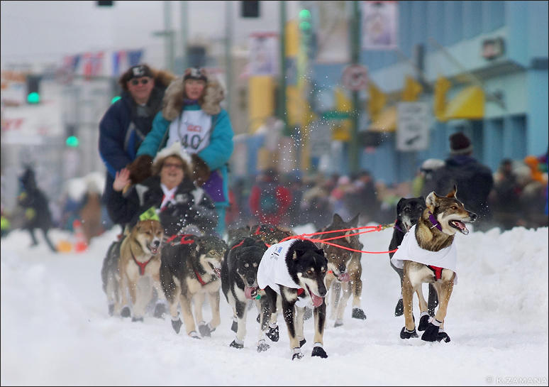 Iditarod The Last Great Race on Earth by Exileden