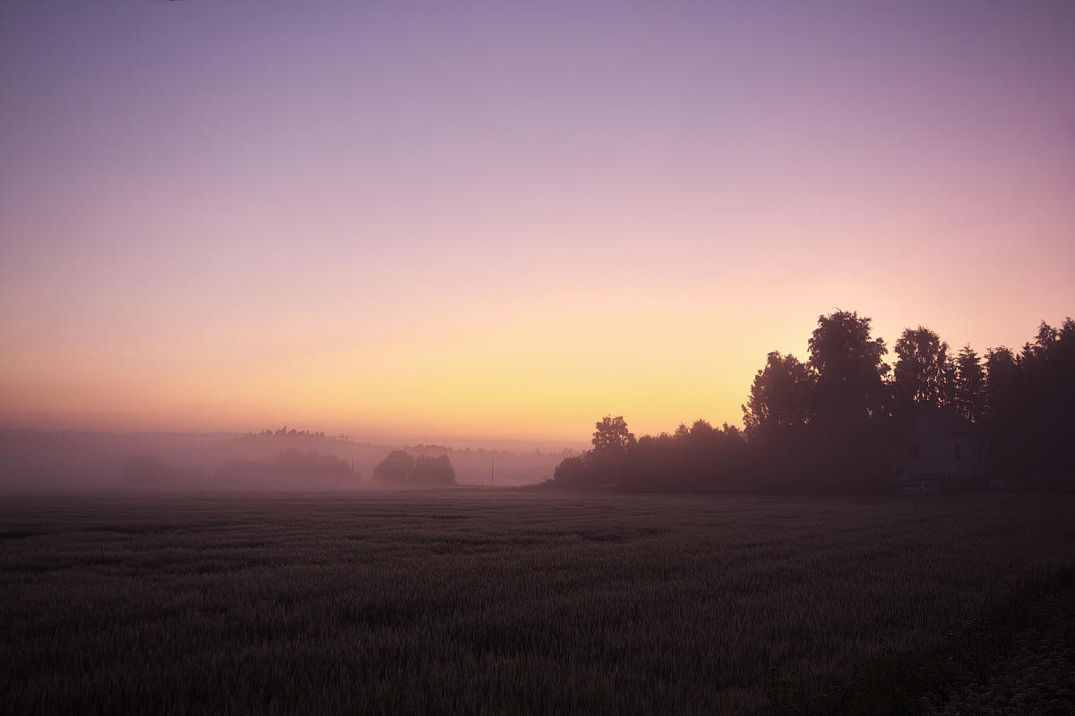 Dawn by villekroger