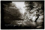 Forest,Lochinver,Scotland by MarkDillon