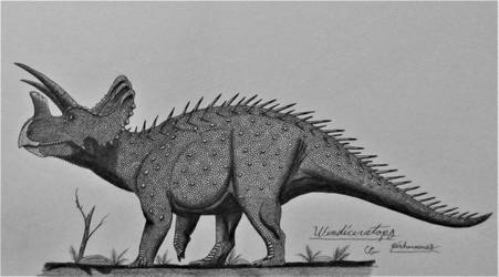 Wendiceratops pinhornensis by AcroSauroTaurus