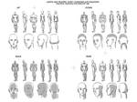 The common shade tutorial by OptimusPraino