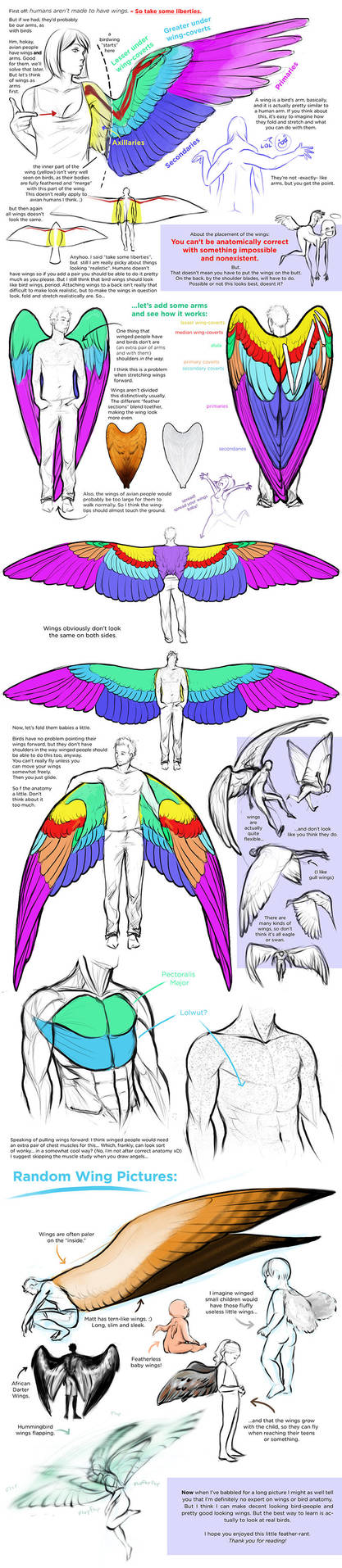 Thoughts on Wings by Uzlo