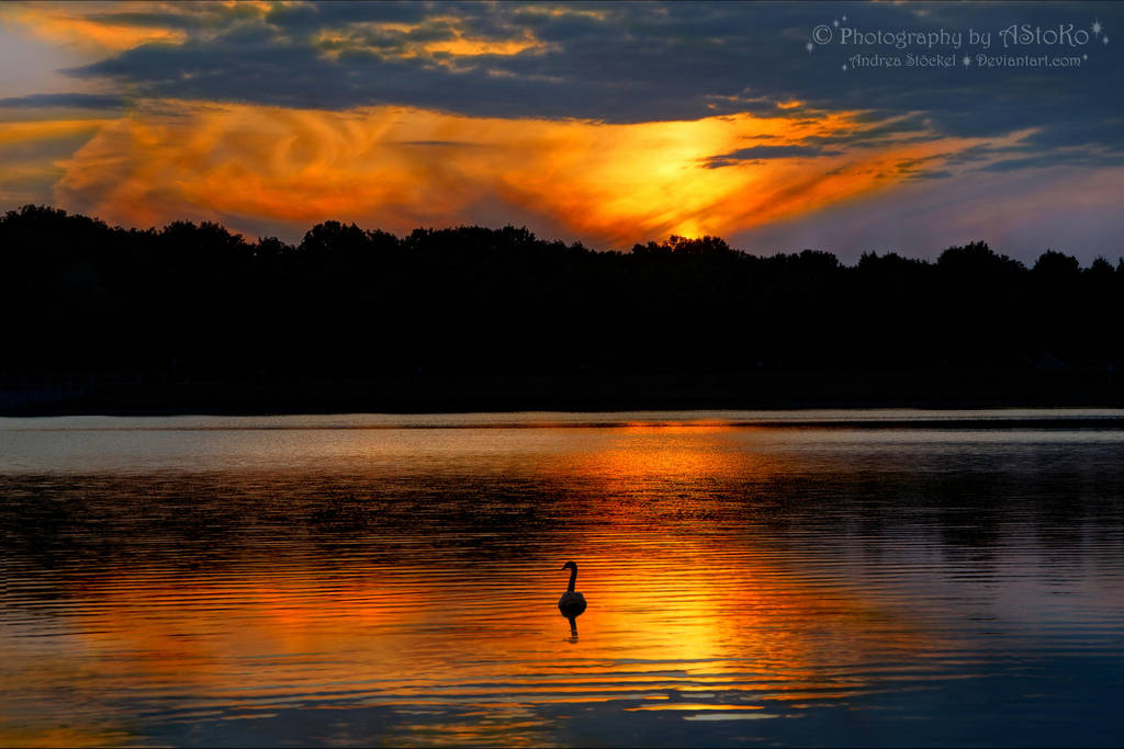 Quite alone ~ sunset by AStoKo