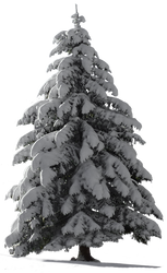 Christmas Tree Snow for my watcher ~ STOCK by AStoKo