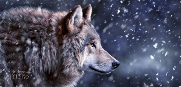 Snow Walker by AStoKo