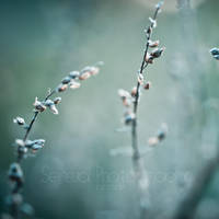 F i n e s t by Inside-my-ART