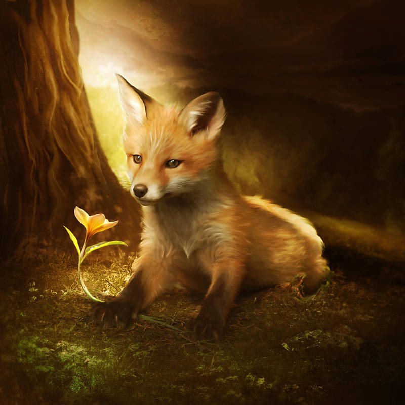 Little fox and the flower by ElenaDudina