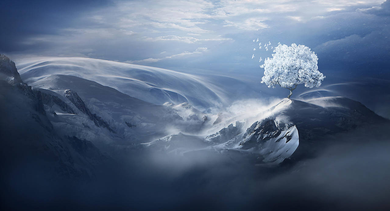 Snow tree by ElenaDudina