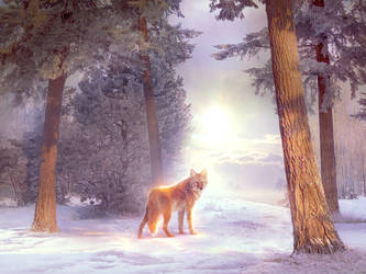 Winter scene by ElenaDudina