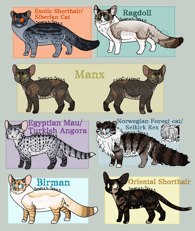 Closed | Feline Adopters #2 by Sukida-Adopts