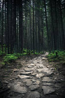 Wandering by xFotoPhreek