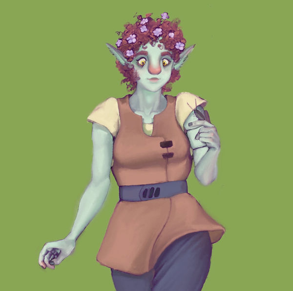 My firbolg druid