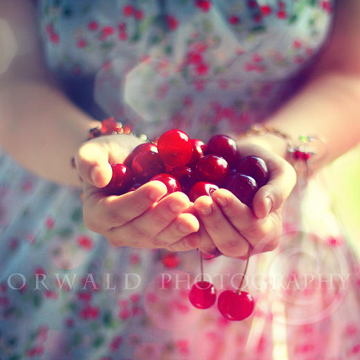 taste of summer by Orwald