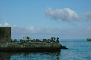 Life in slowmotion by Rehnmark