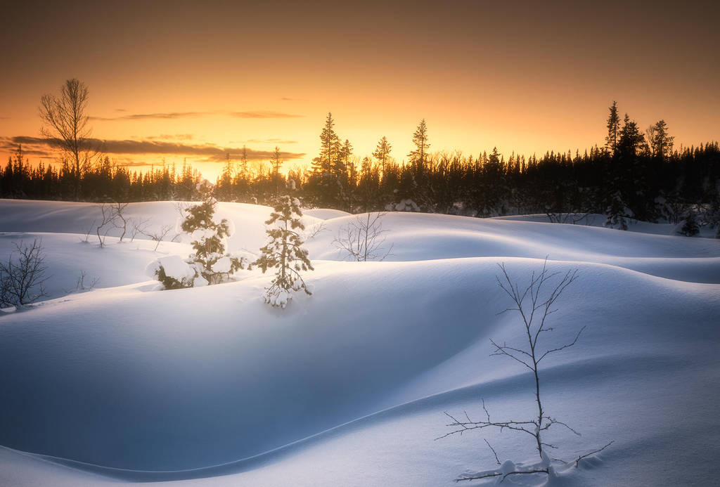 Shapes in the snow by streamweb