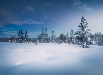 Winter fairytale by streamweb