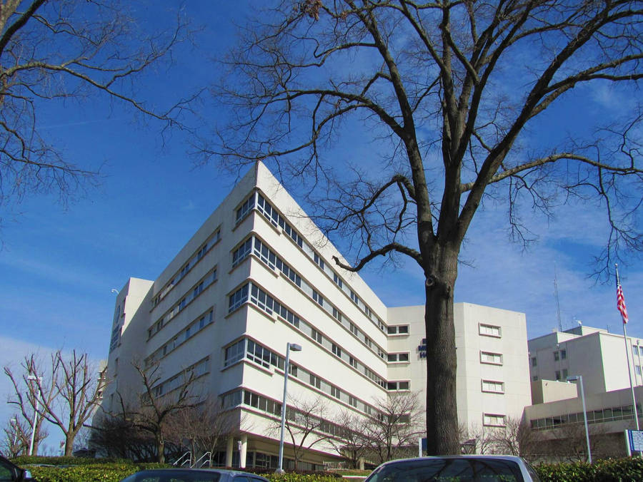 Blount Memorial Hospital by CrystalMarine on DeviantArt