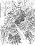 griffin in winter by hibbary