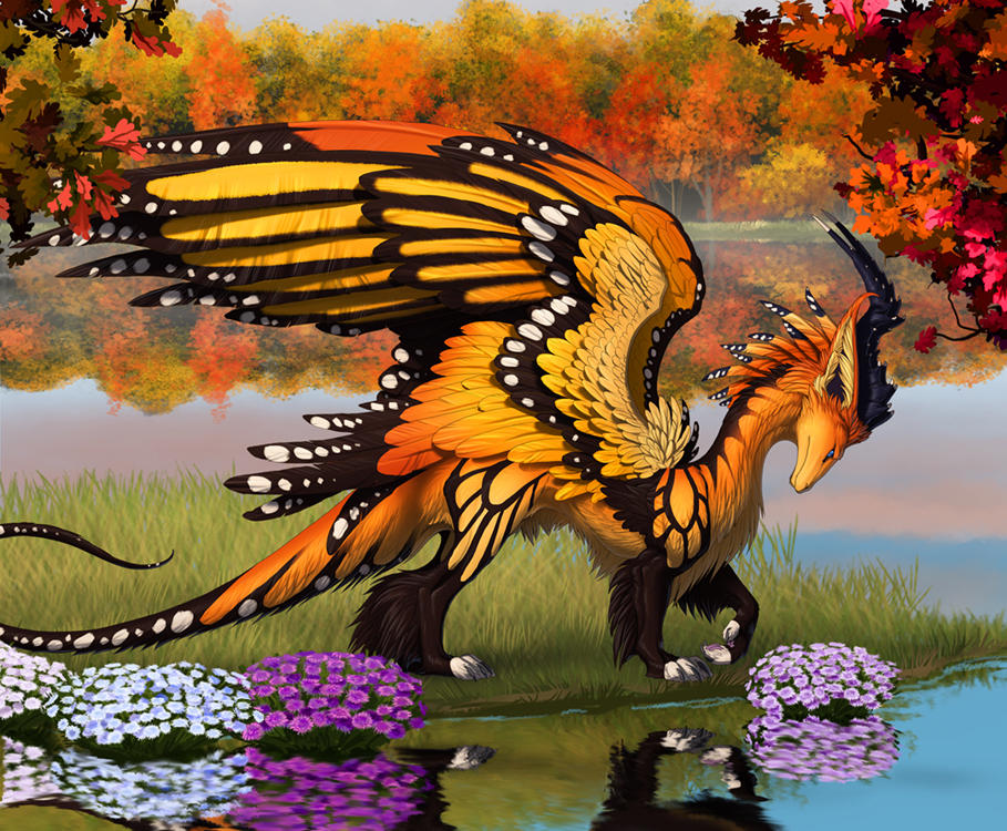 Monarch by hibbary