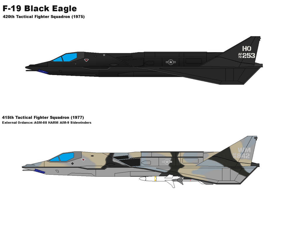 F-19 Black Eagle Stealth Fighter by PaintFan08