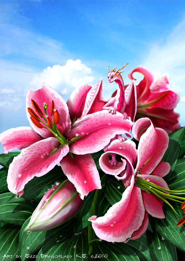 Secret Of The Lily by suzidragonlady