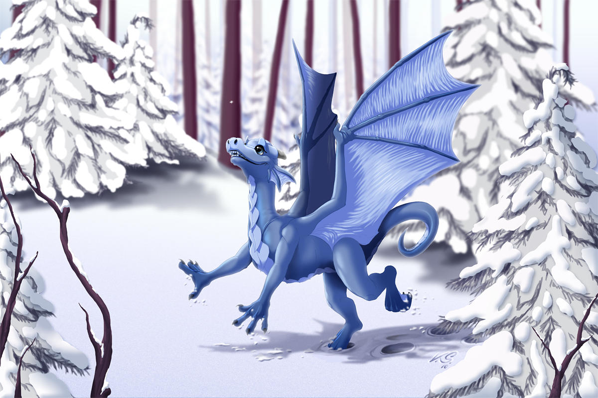 First Snow by suzidragonlady