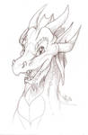 RandomDragonSk01 by suzidragonlady