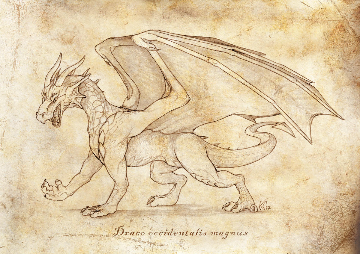 Draco occidentalis magnus by suzidragonlady