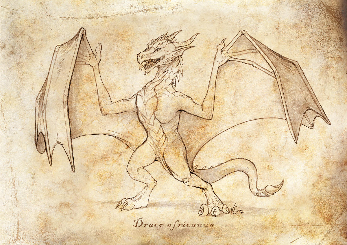 Draco africanus by suzidragonlady
