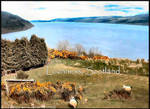 Lochness, Scotland by AriannaSage