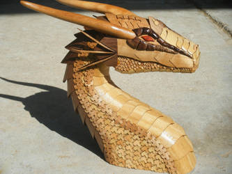 Dragon Bust by rcdog