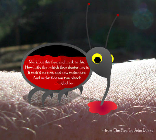 The Flea by scripturemonkey