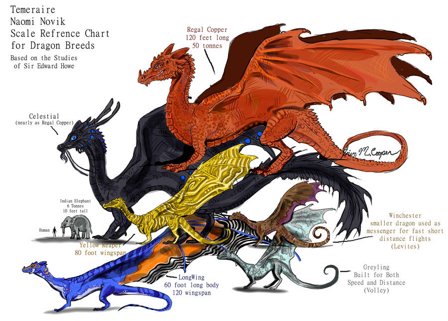 Dragon Breeds Size Refrence by Shadowind on DeviantArt