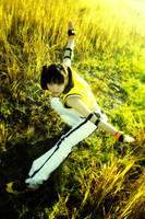 Xiaoyu's Phoenix Stand by RacoonFactory