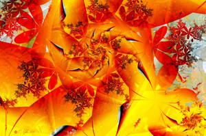 Autumn in the Tree Top by Shadoweddancer Autumn in the Tree Top by Shadoweddancer