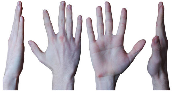 Male Hand 1 by Belastock