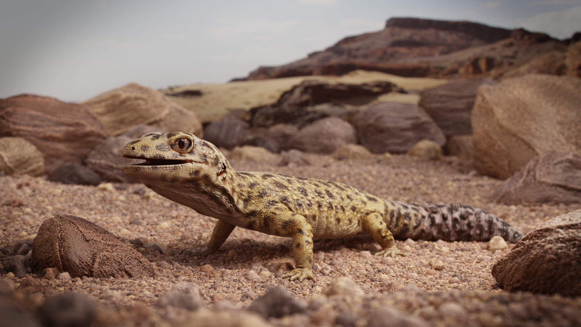 Leopard Gecko in the Sand by DerpyDuckArt on DeviantArt
