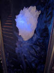 Frozen staircase by Ajala