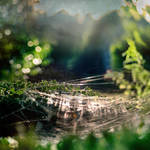 Magic World by intao