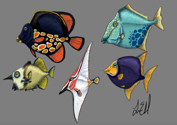 Pycnodonts Color Study by PrehistoryByLiam