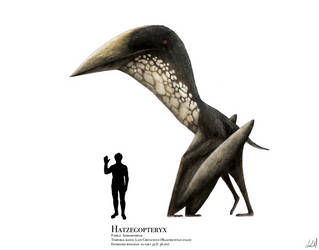Hatzegopteryx by PrehistoryByLiam
