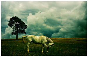 Land of a Thousand Dances by vulezvrk