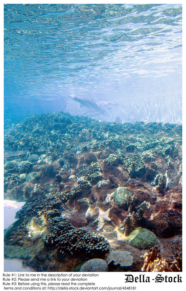 Ocean Floor by Della-Stock